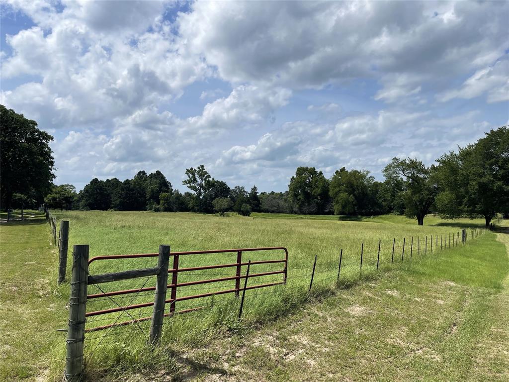 1666 Us Highway 84 Property Photo 38