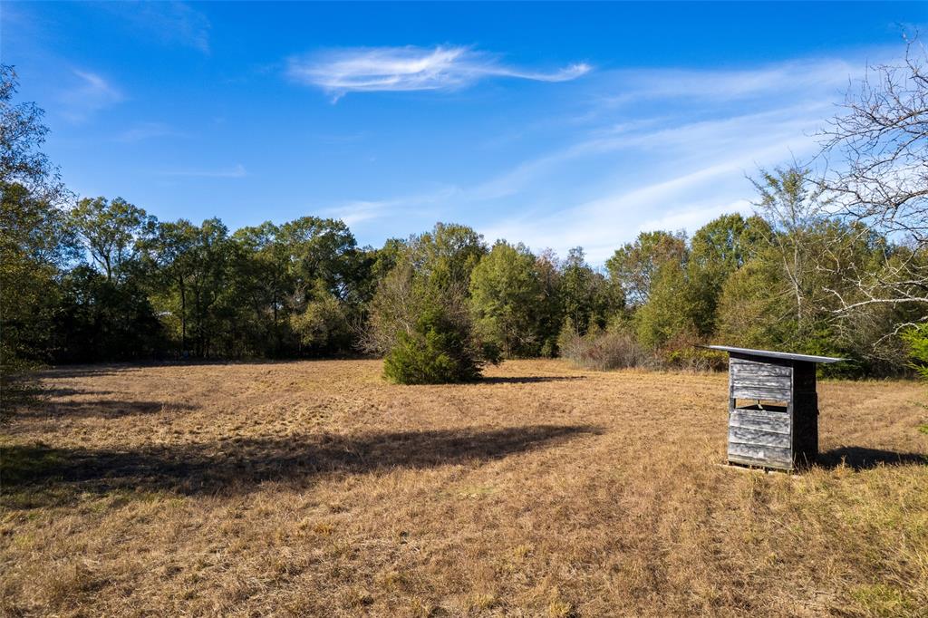 Tbd Fm 71 Property Photo 4