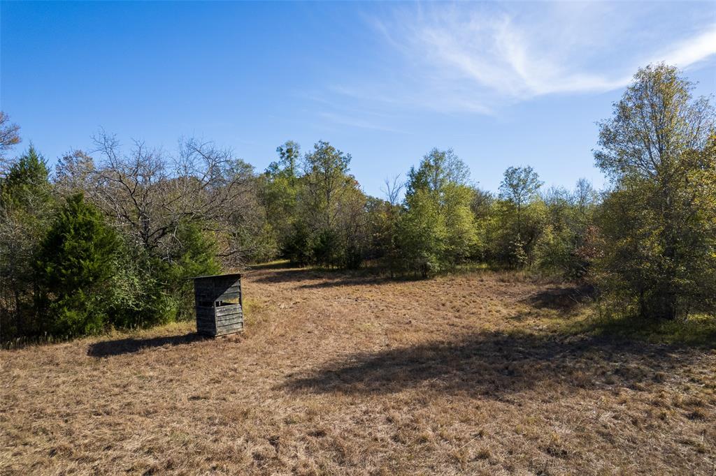 Tbd Fm 71 Property Photo 12