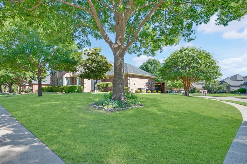 11113 Jereme Trail Property Photo 34