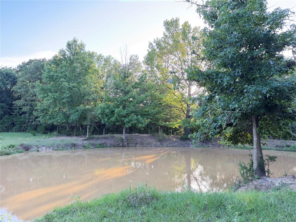 Tbd Cr 4260 Property Photo 3