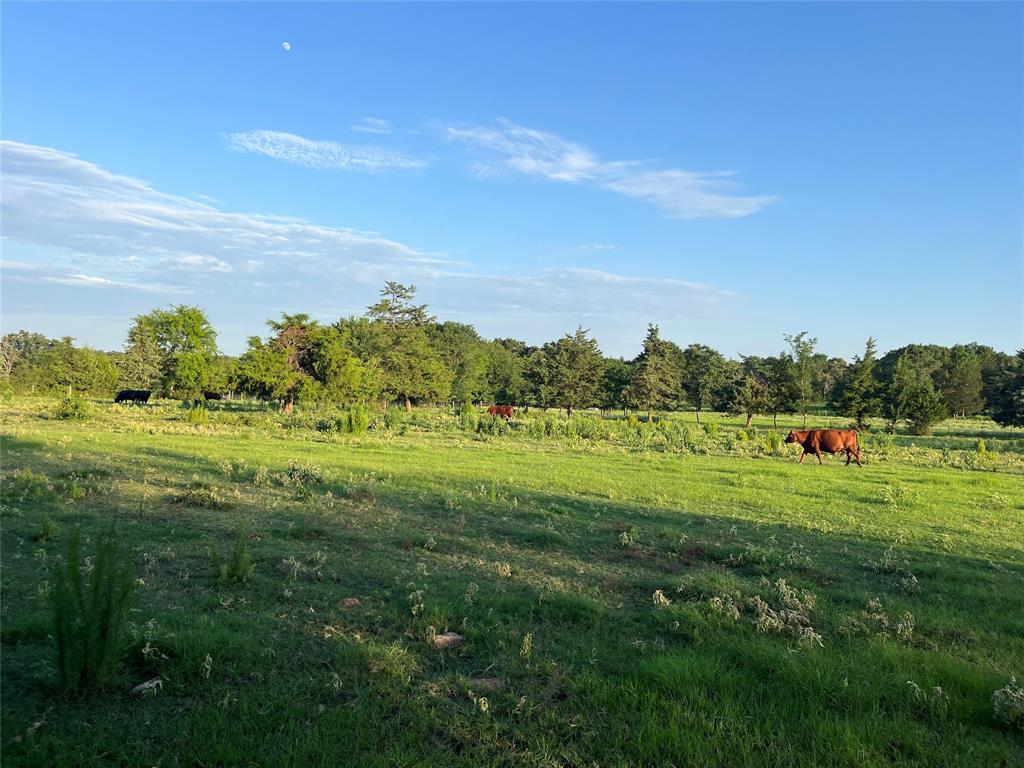 Tbd Cr 4260 Property Photo 4