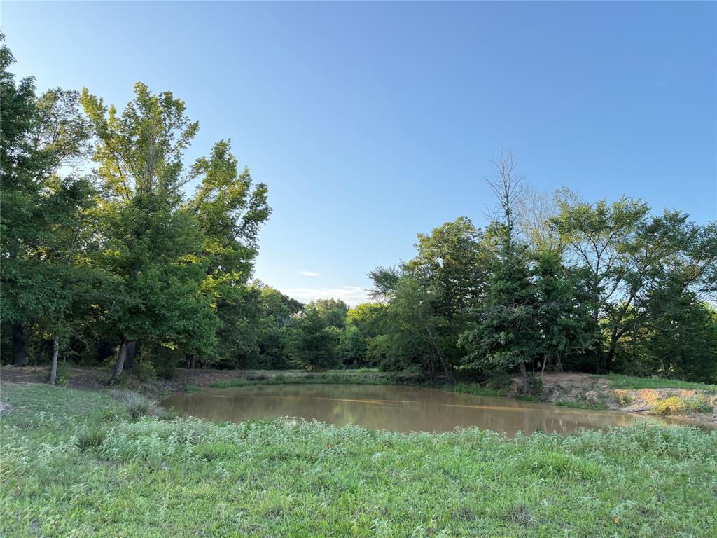 Tbd Cr 4260 Property Photo 10