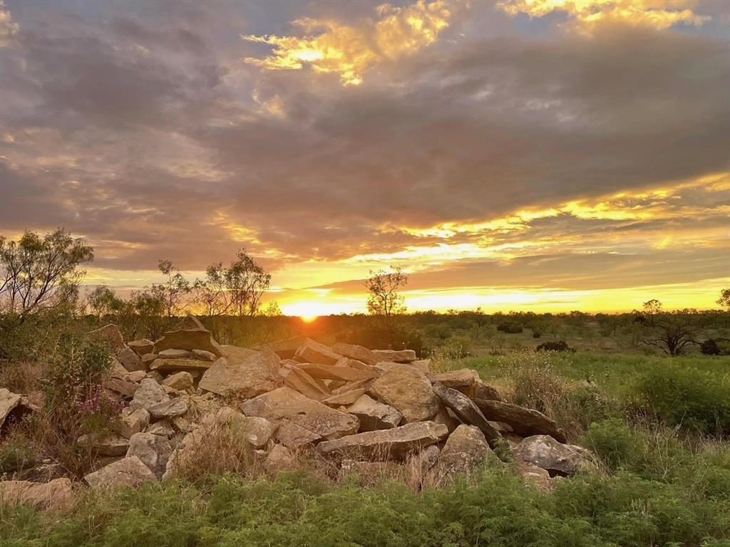 6226 Fm 1241 Property Photo 37