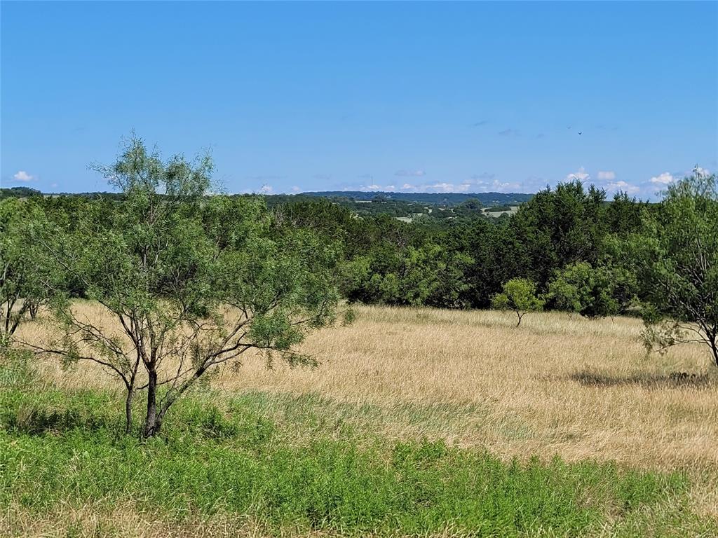 Tbd County Road 1139 575 Acres Property Photo 1