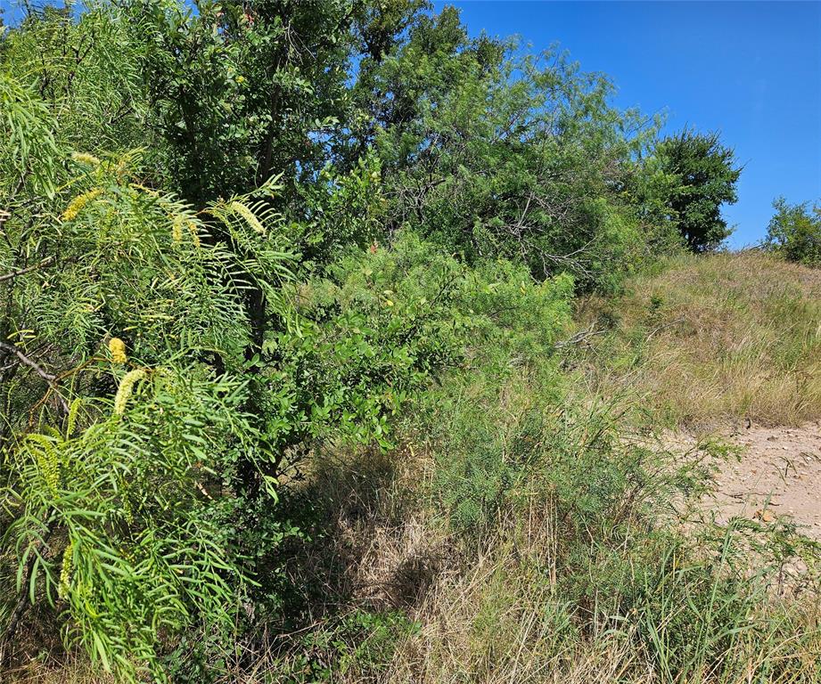 0 Blue Fathom Drive Property Photo 3