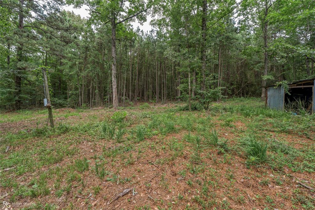 175 Magnolia Road Property Photo 9