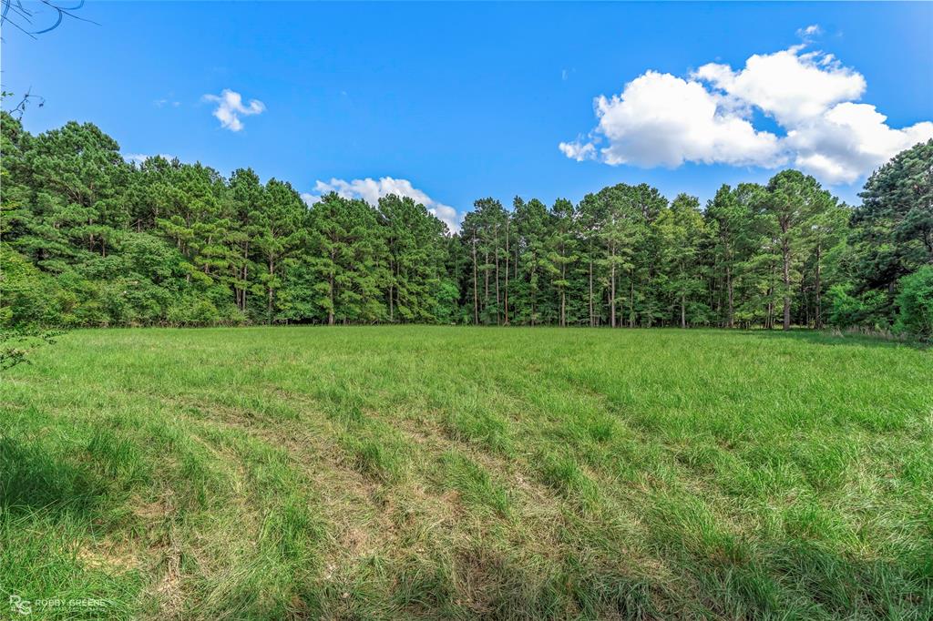 4592 Highway 163 Property Photo 12
