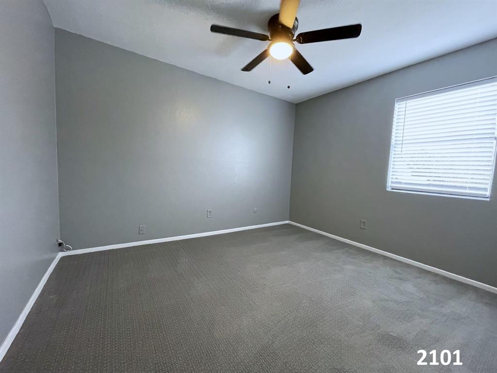 2101 Knoll Crest Drive 2101, 2103, 2105, 2107 Property Photo 8