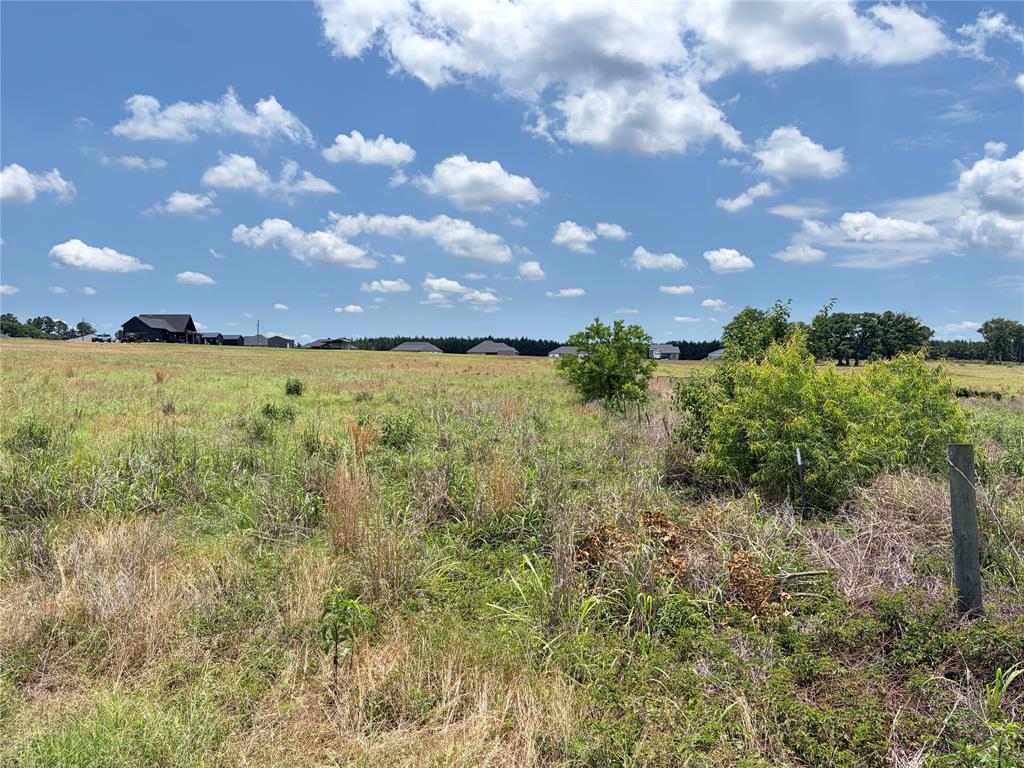 Lot 5 Cr 4507 Property Photo 13