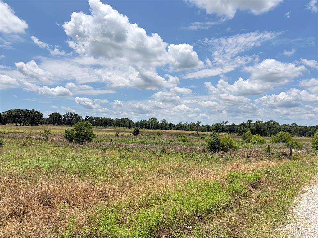 Lot 6 Cr 4507 Property Photo 19