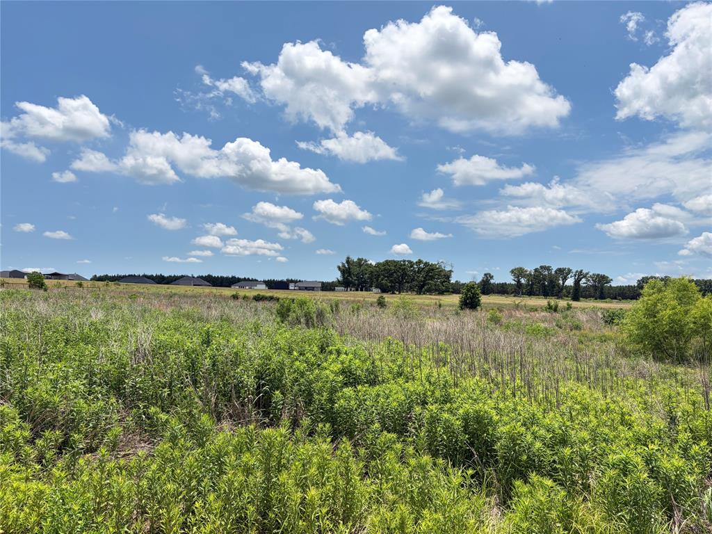Lot 6 Cr 4507 Property Photo 20