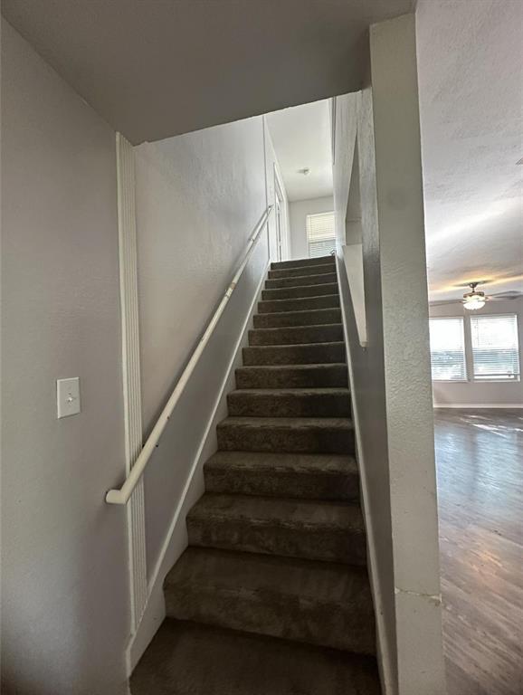 3604 Trickling Creek Lane Property Photo 4
