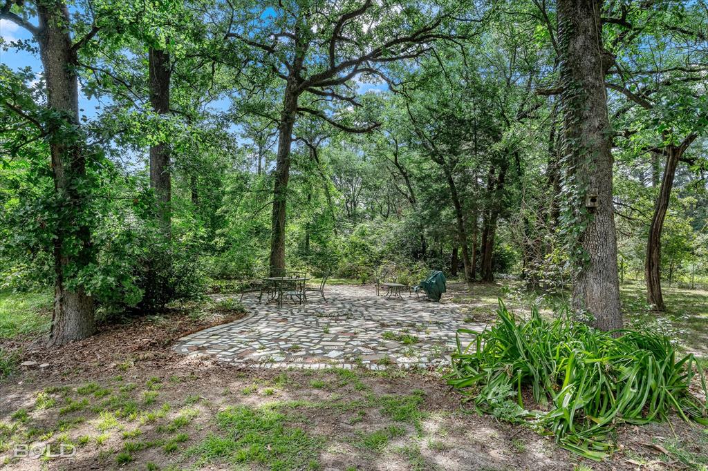 6151 Pine Hill Road Property Photo 3
