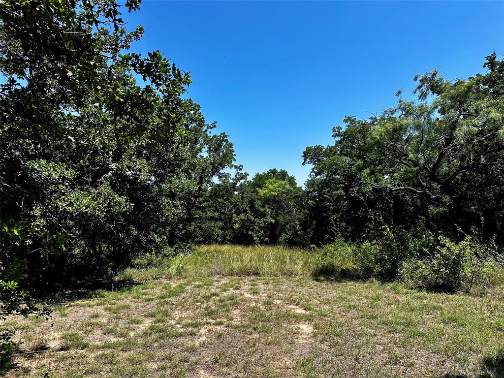 15541 County Road 409 Property Photo 18