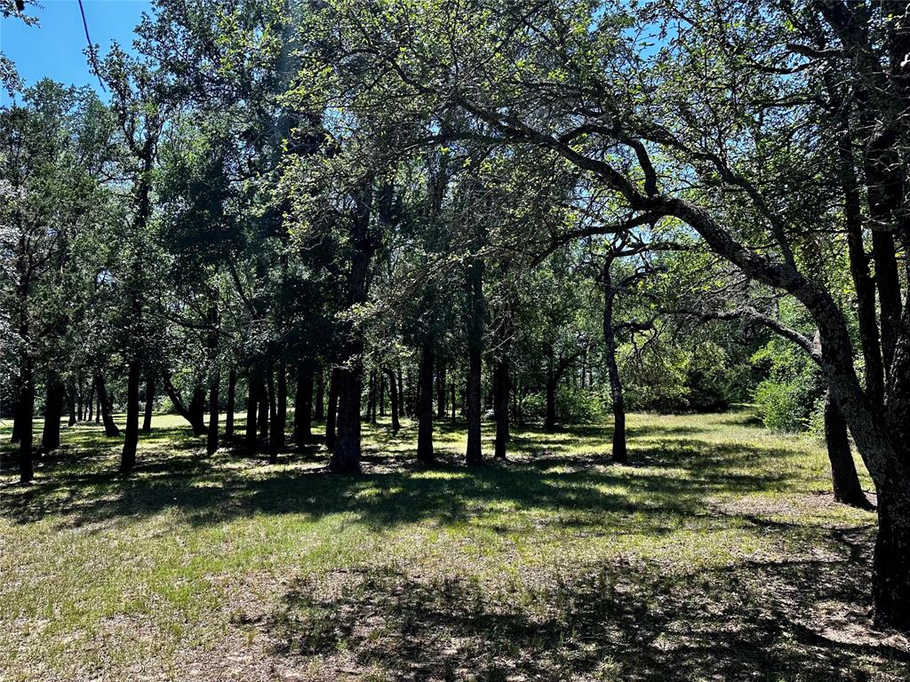 15541 County Road 409 Property Photo 19