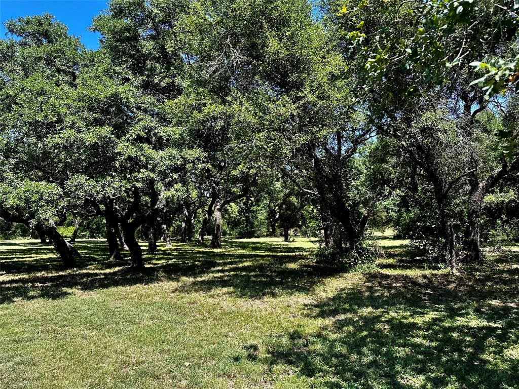 15541 County Road 409 Property Photo 23