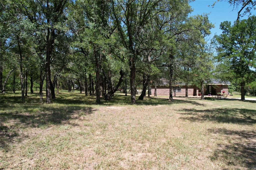 15541 County Road 409 Property Photo 26