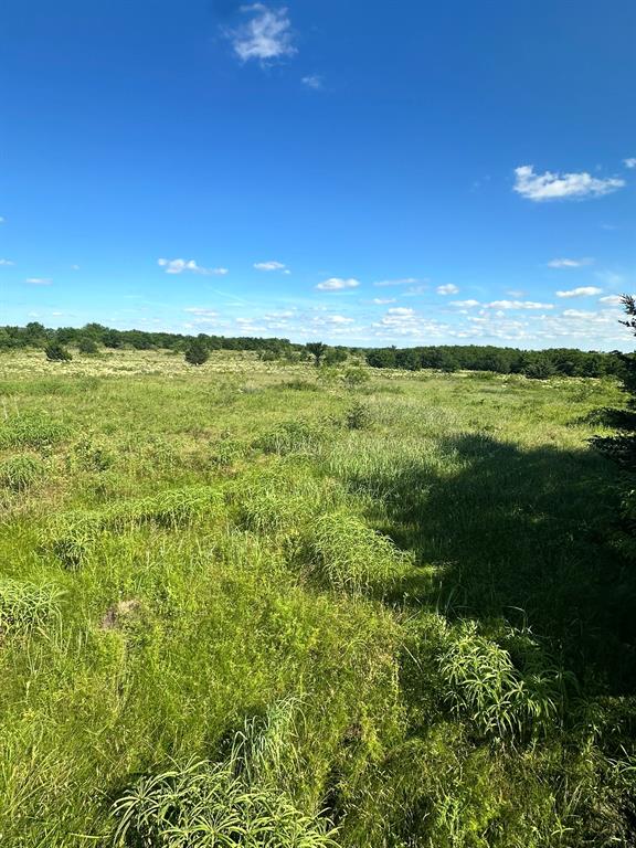 Lot 8 County Road 410 Property Photo 4