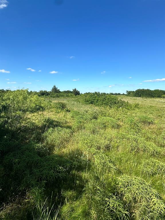 Lot 8 County Road 410 Property Photo 5