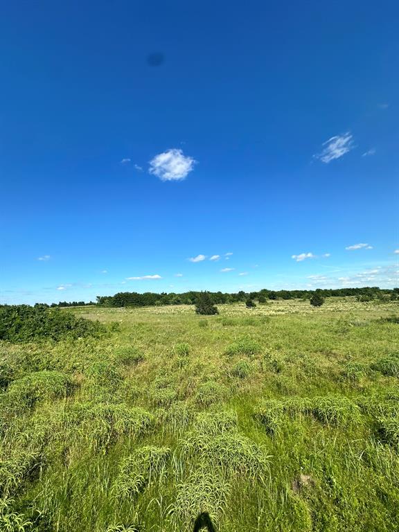 Lot 8 County Road 410 Property Photo 6