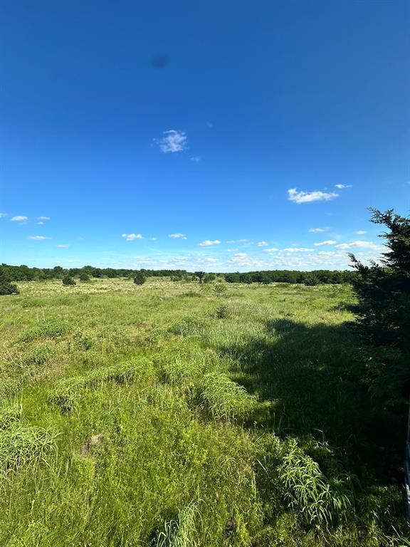Lot 8 County Road 410 Property Photo 7