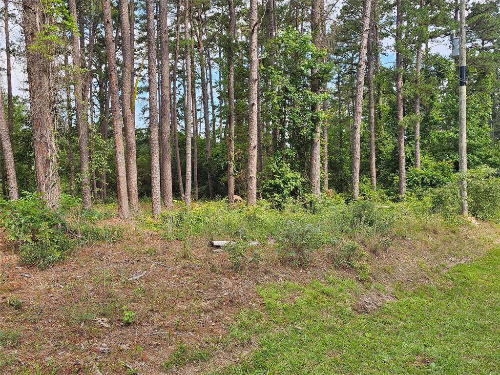 Tbd Green Meadow Trail (lot 140) Property Photo 2
