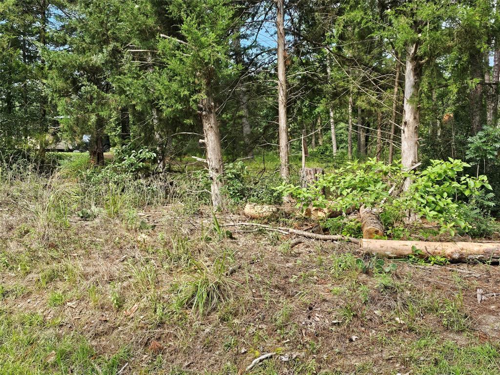 Tbd Green Meadow Trail (lot 140) Property Photo 3