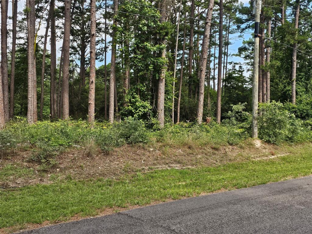 Tbd Green Meadow Trail (lot 140) Property Photo 4