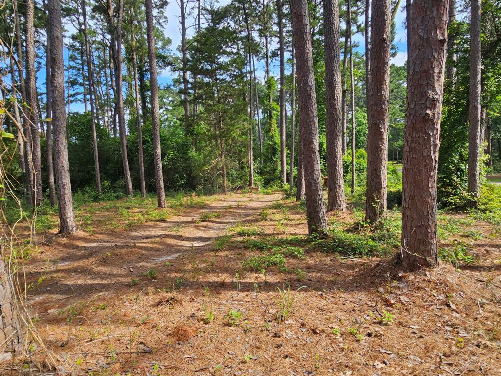 Tbd Green Meadow Trail (lot 140) Property Photo 7