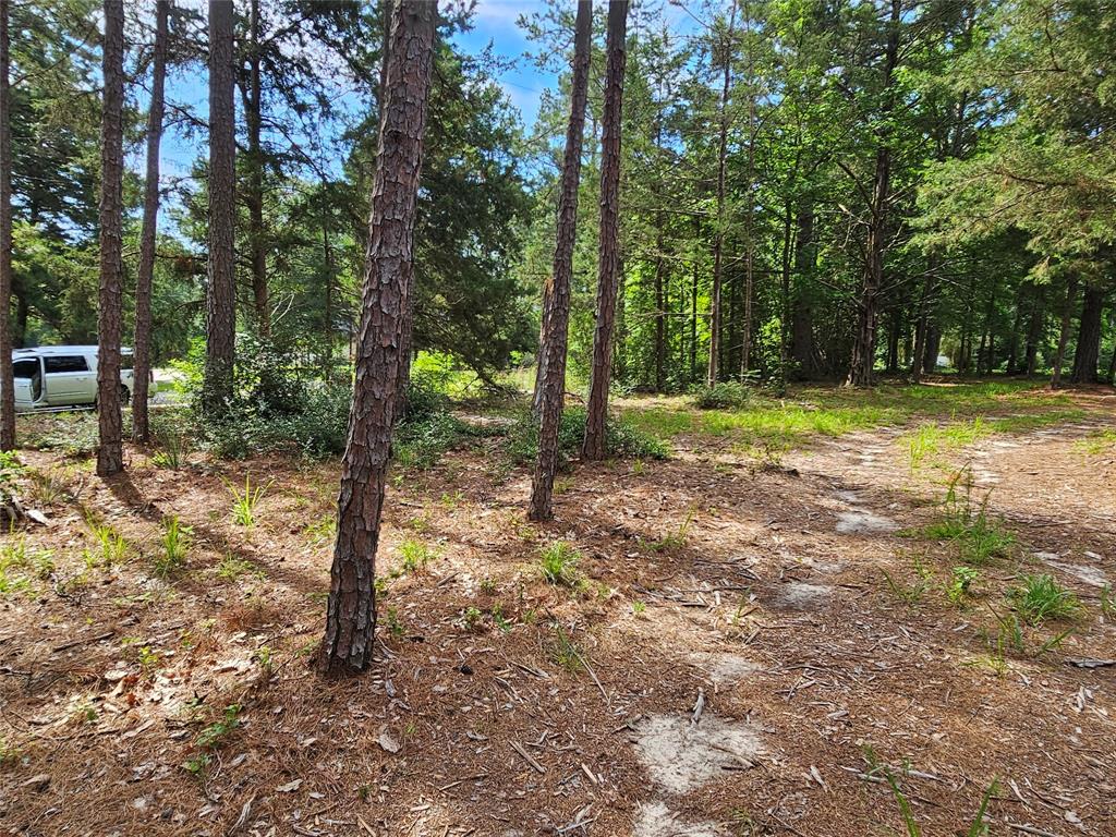 Tbd Green Meadow Trail (lot 140) Property Photo 9