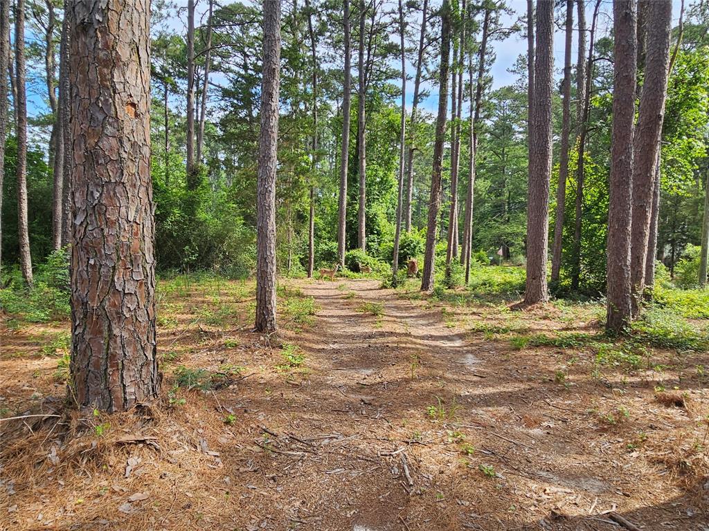 Tbd Green Meadow Trail (lot 140) Property Photo 11