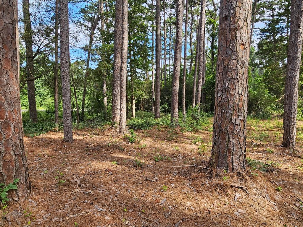 Tbd Green Meadow Trail (lot 140) Property Photo 12