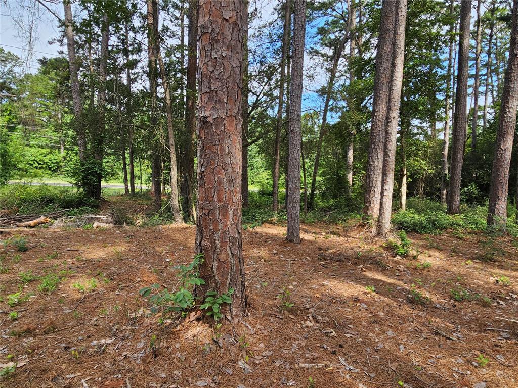 Tbd Green Meadow Trail (lot 140) Property Photo 13