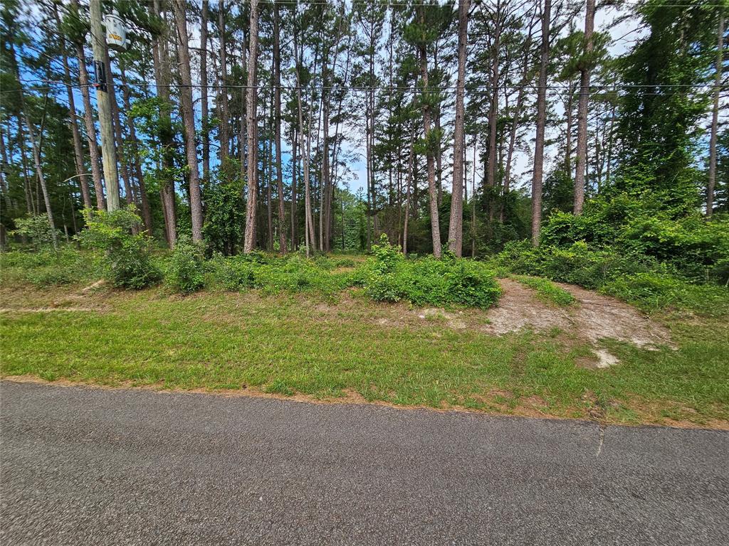 Tbd Green Meadow Trail (lot 140) Property Photo 14
