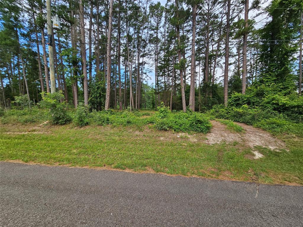Tbd Green Meadow Trail (lot 140) Property Photo 15