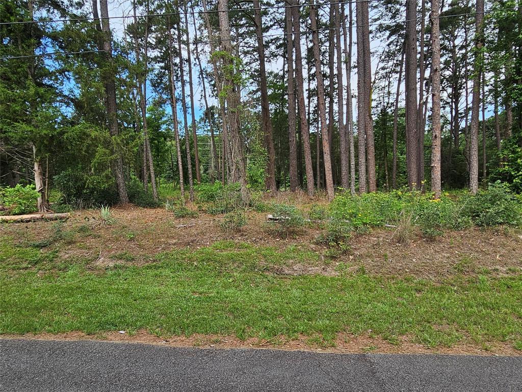 Tbd Green Meadow Trail (lot 140) Property Photo 16