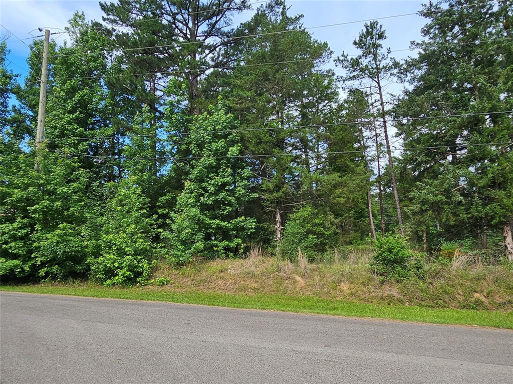 Tbd Green Meadow Trail (lot 140) Property Photo 18