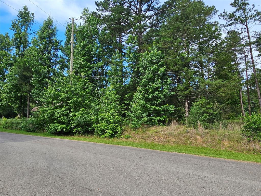 Tbd Green Meadow Trail (lot 140) Property Photo 19