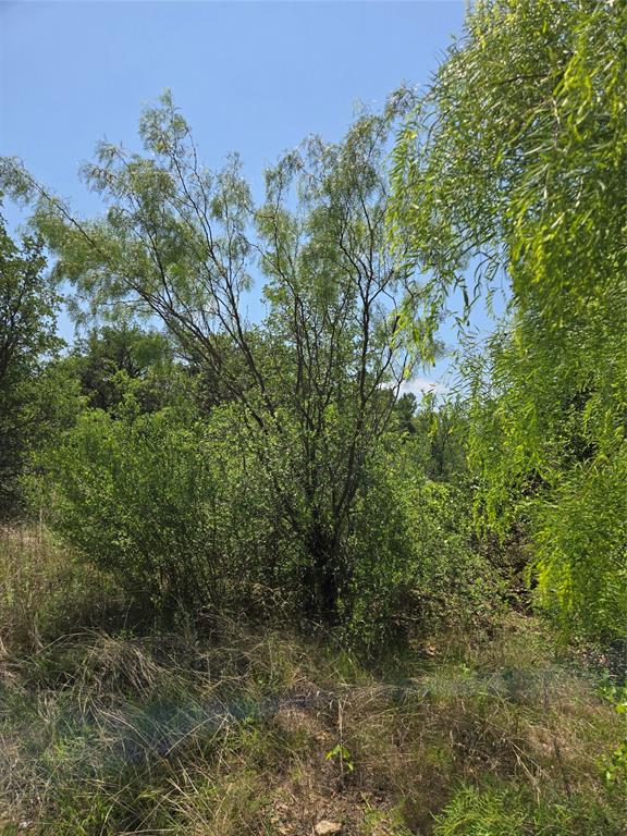 7143 Dillard Drive Property Photo 2