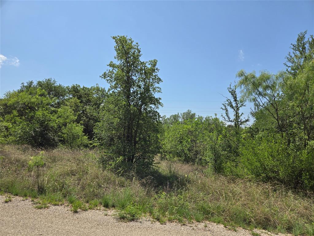 7143 Dillard Drive Property Photo 4