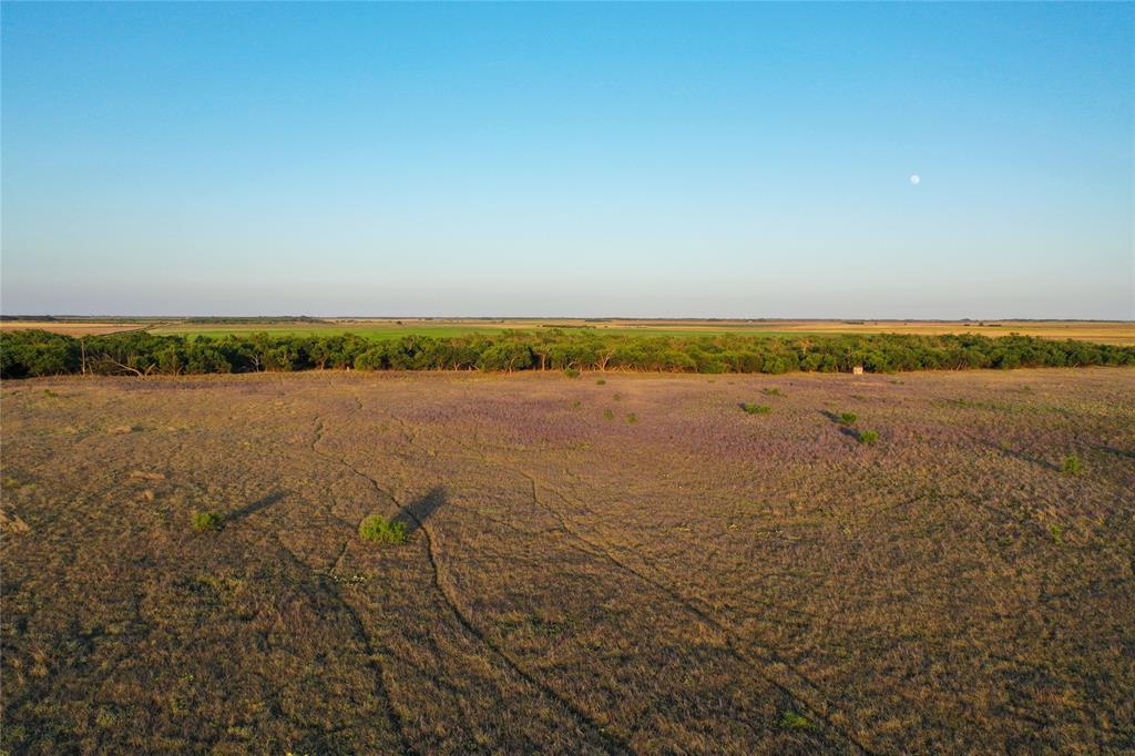 Tbd Cr 146 Property Photo 4