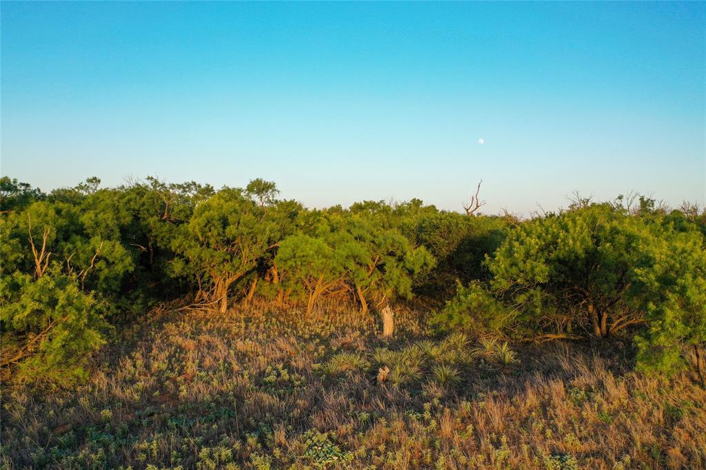 Tbd Cr 146 Property Photo 5