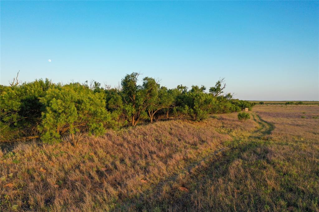 Tbd Cr 146 Property Photo 6