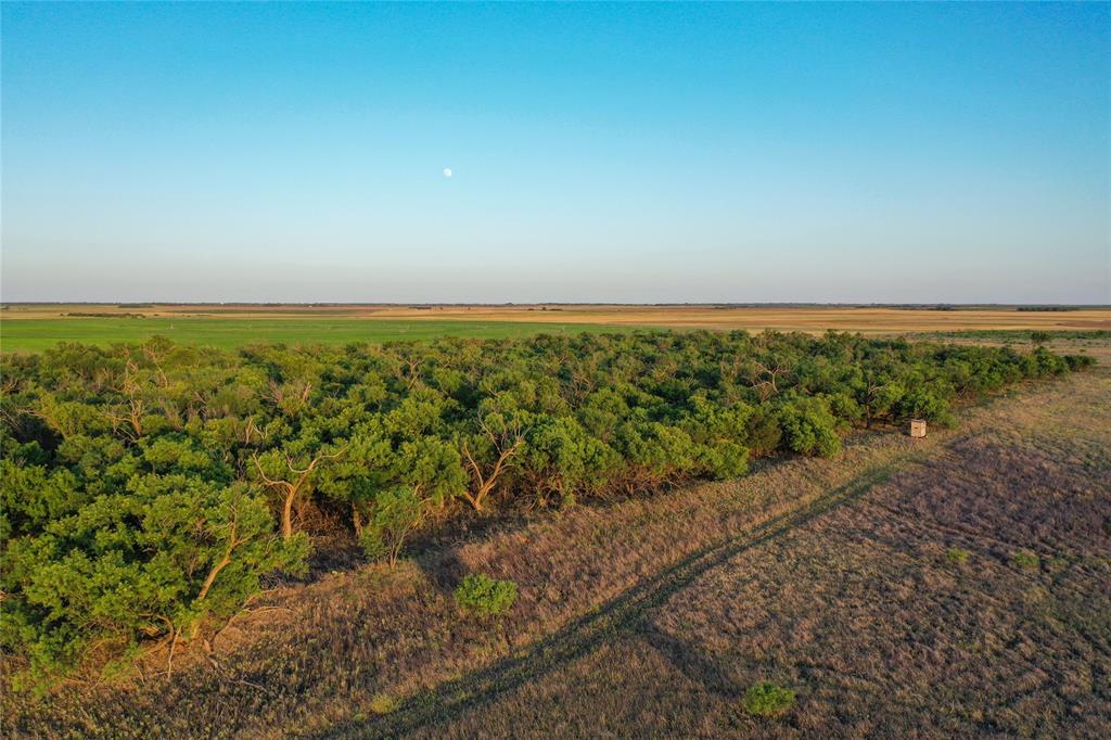 Tbd Cr 146 Property Photo 7