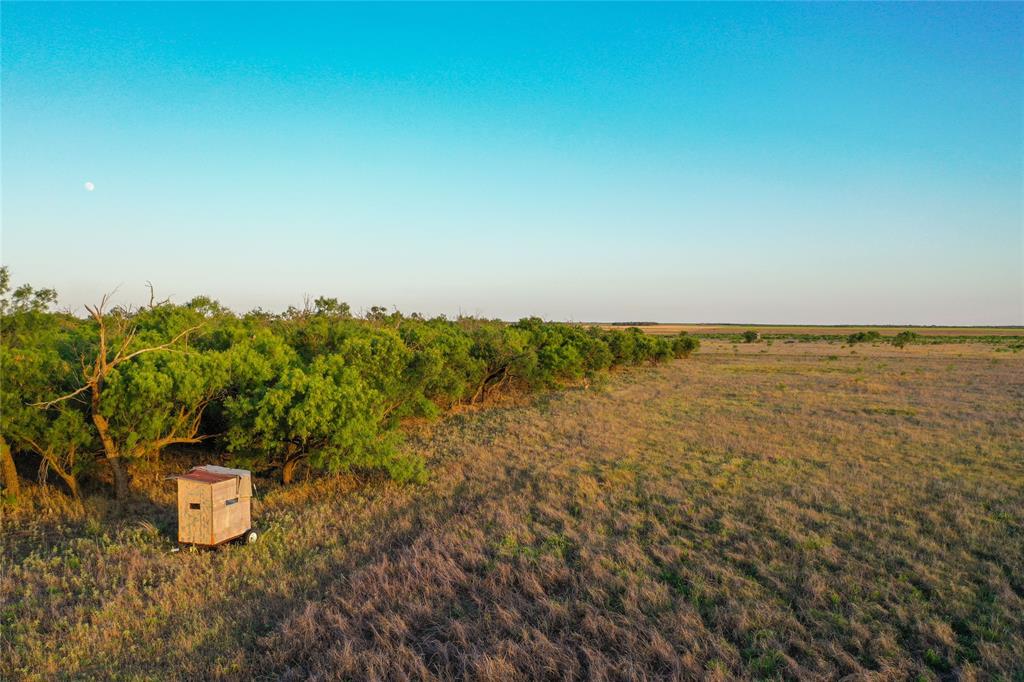 Tbd Cr 146 Property Photo 8