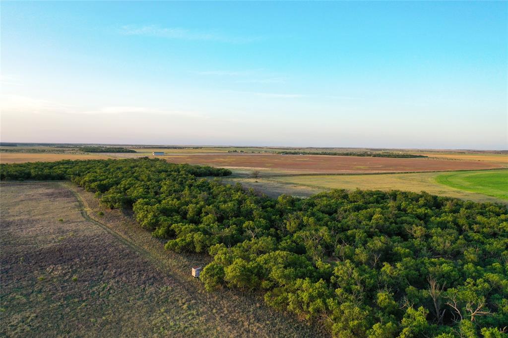 Tbd Cr 146 Property Photo 9