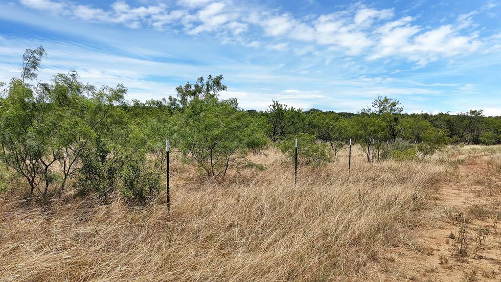 Tbd County Road 136 #59 Property Photo 9
