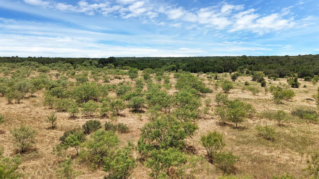 Tbd County Road 136 #59 Property Photo 10