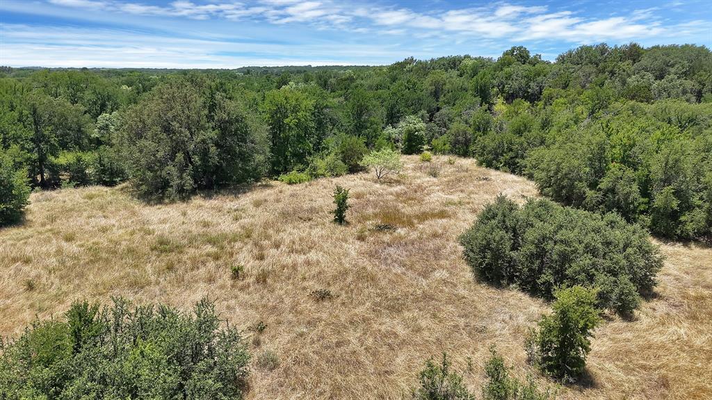 Tbd County Road 136 #59 Property Photo 15